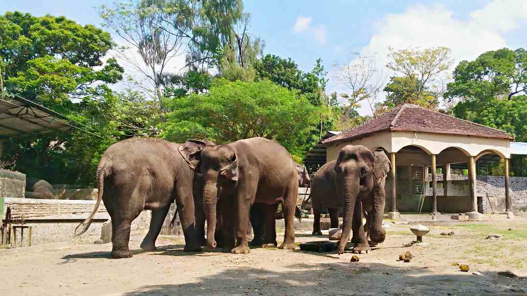 https://mdw-travel-data-us-east-1.s3.amazonaws.com/img/country/Indonesia/Gembira-Loka-Zoo/img_01.jpg
