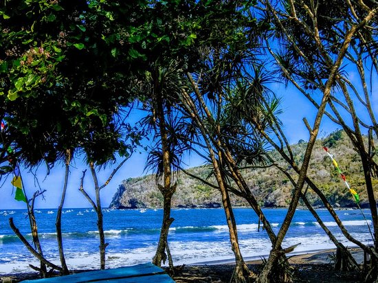 https://mdw-travel-data-us-east-1.s3.amazonaws.com/img/country/Indonesia/Grajagan-Beach/img_03.jpg