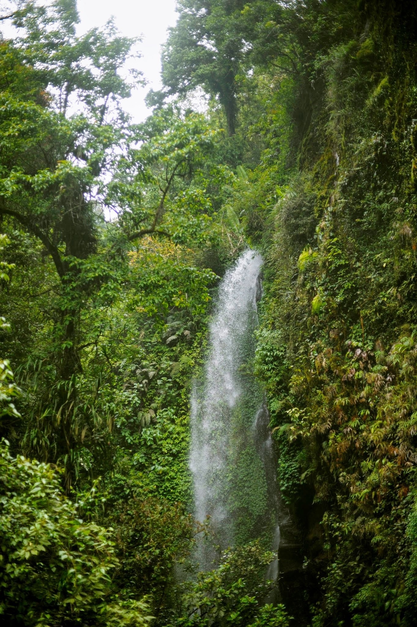 https://mdw-travel-data-us-east-1.s3.amazonaws.com/img/country/Indonesia/Gunung-Gede-Pangrango-National-Park/img_05.jpg