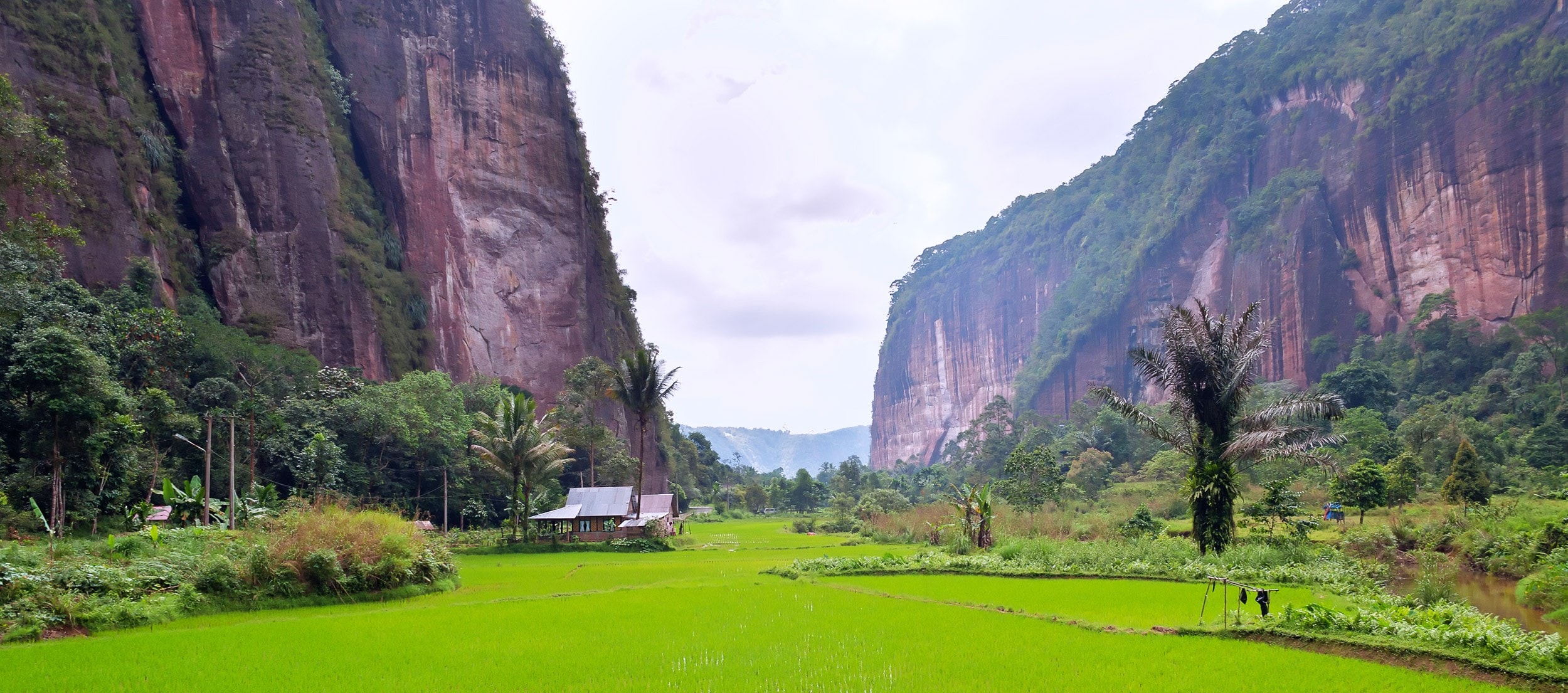 https://mdw-travel-data-us-east-1.s3.amazonaws.com/img/country/Indonesia/Harau-Valley/img_00.jpg