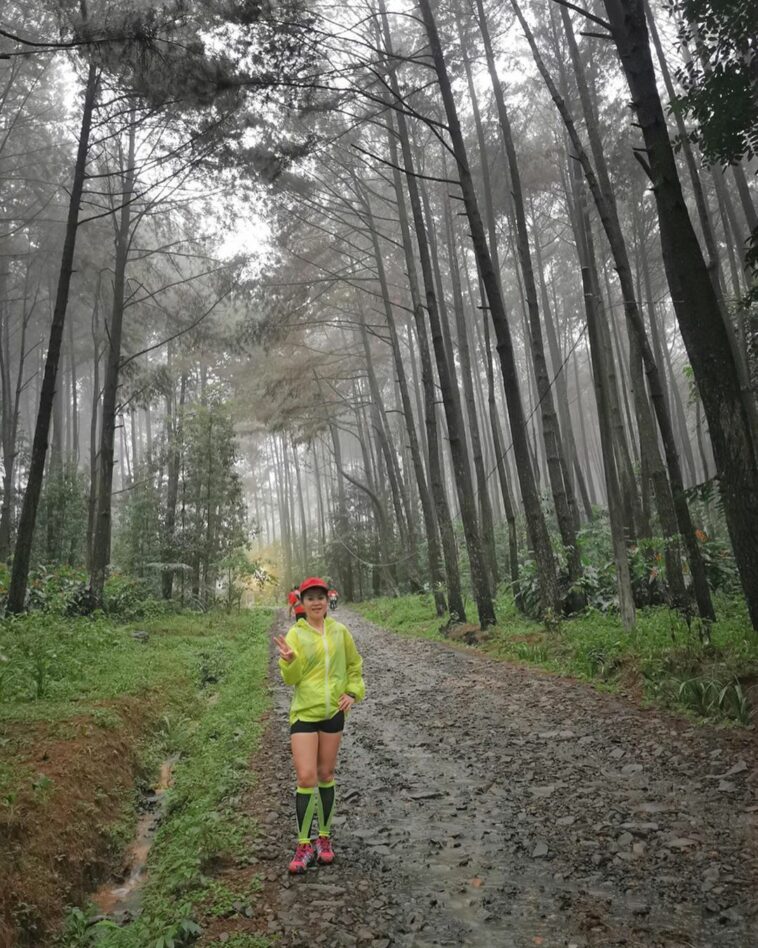 https://mdw-travel-data-us-east-1.s3.amazonaws.com/img/country/Indonesia/Hutan-Pinus-Pogung-Jurug/img_01.jpg