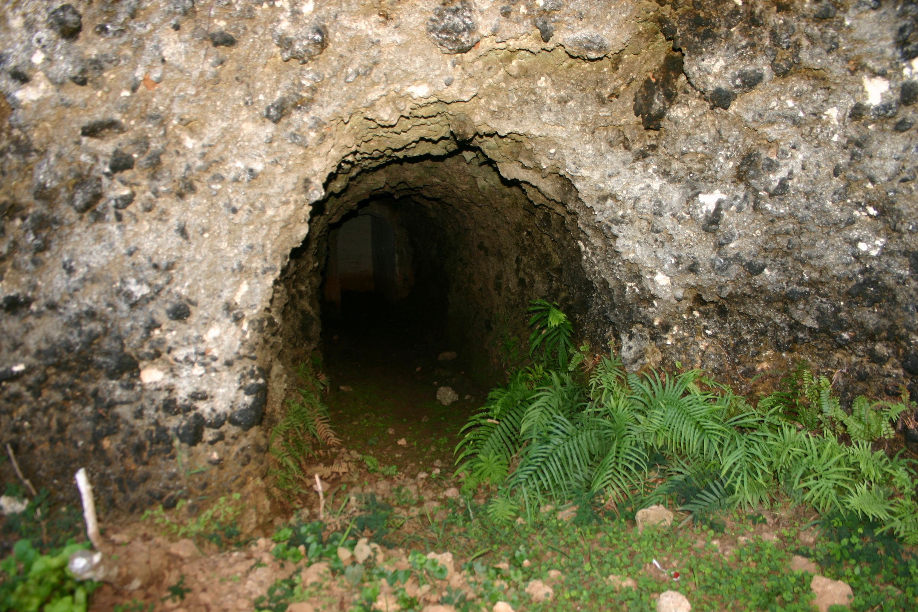 https://mdw-travel-data-us-east-1.s3.amazonaws.com/img/country/Indonesia/Japanese-Caves/img_01.jpg