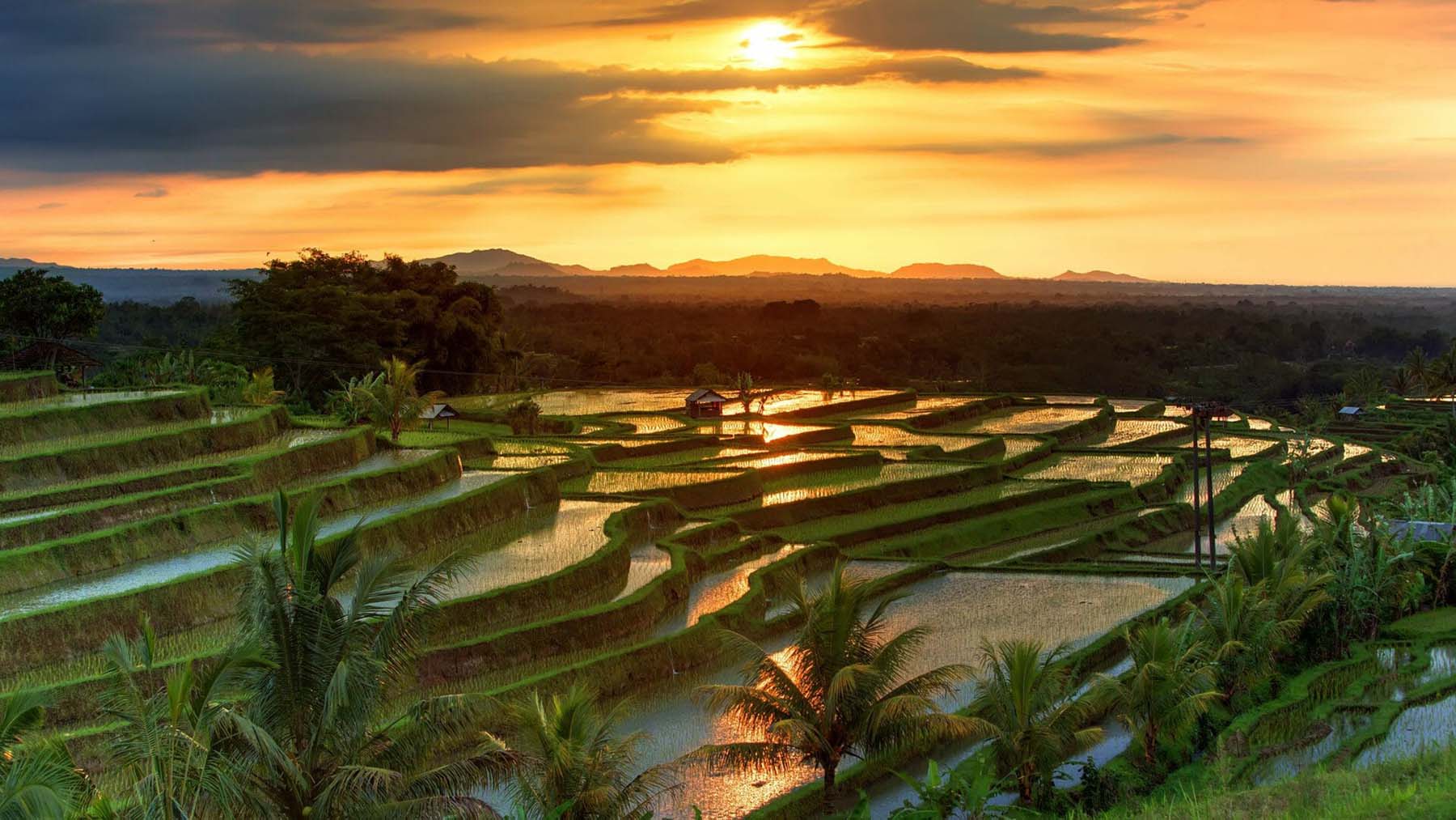 https://mdw-travel-data-us-east-1.s3.amazonaws.com/img/country/Indonesia/Jatiluwih-Rice-Terrace/img_03.jpg