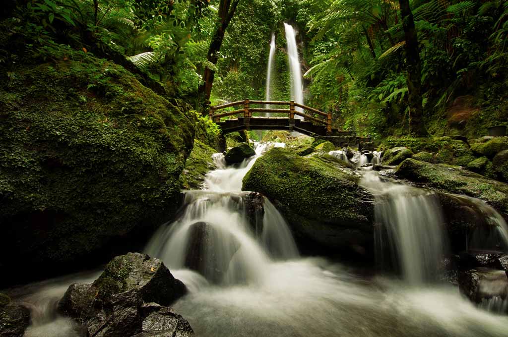 https://mdw-travel-data-us-east-1.s3.amazonaws.com/img/country/Indonesia/Jumog-Waterfall/img_01.jpg