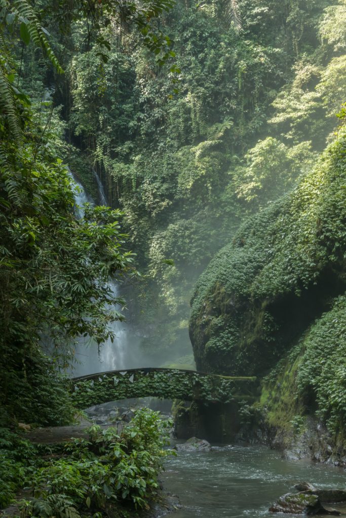 https://mdw-travel-data-us-east-1.s3.amazonaws.com/img/country/Indonesia/Kali-Pancur-Waterfall/img_01.jpg