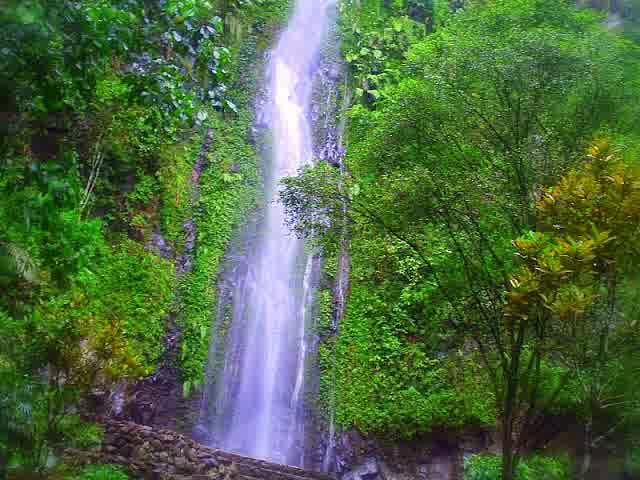 https://mdw-travel-data-us-east-1.s3.amazonaws.com/img/country/Indonesia/Kaliurang-Park/img_03.jpg