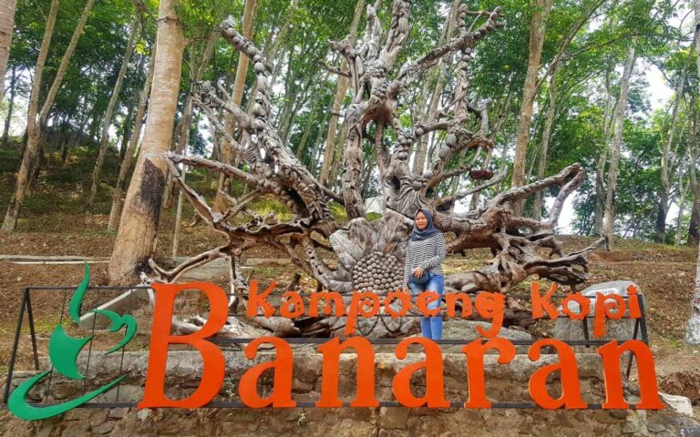 https://mdw-travel-data-us-east-1.s3.amazonaws.com/img/country/Indonesia/Kampoeng-Kopi-Banaran/img_01.jpg