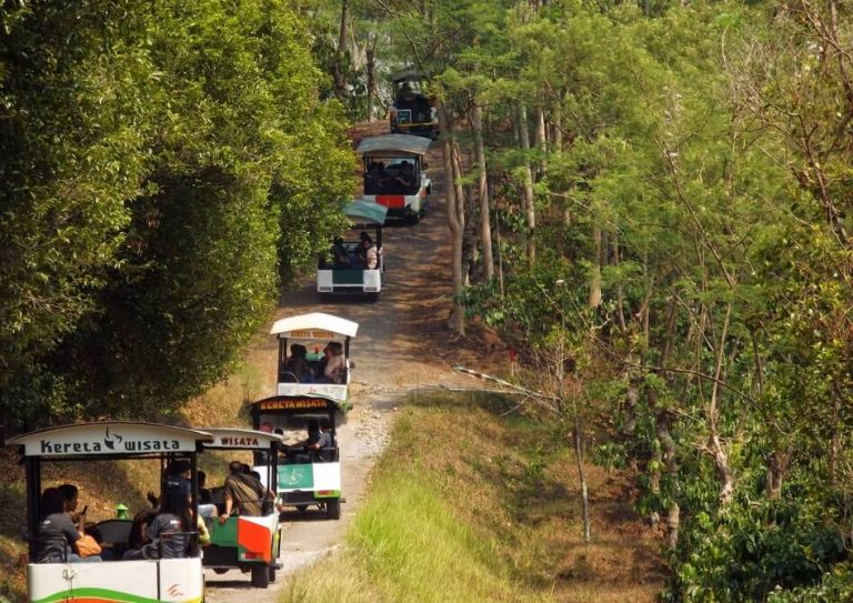 https://mdw-travel-data-us-east-1.s3.amazonaws.com/img/country/Indonesia/Kampoeng-Kopi-Banaran/img_03.jpg