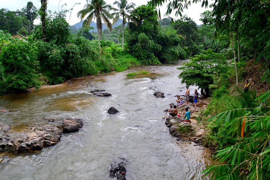 https://mdw-travel-data-us-east-1.s3.amazonaws.com/img/country/Indonesia/Kampung-Konservasi-Sungai-Wain/img_03.jpg