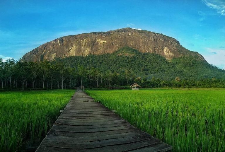 https://mdw-travel-data-us-east-1.s3.amazonaws.com/img/country/Indonesia/Karangan-Hill/img_02.jpg