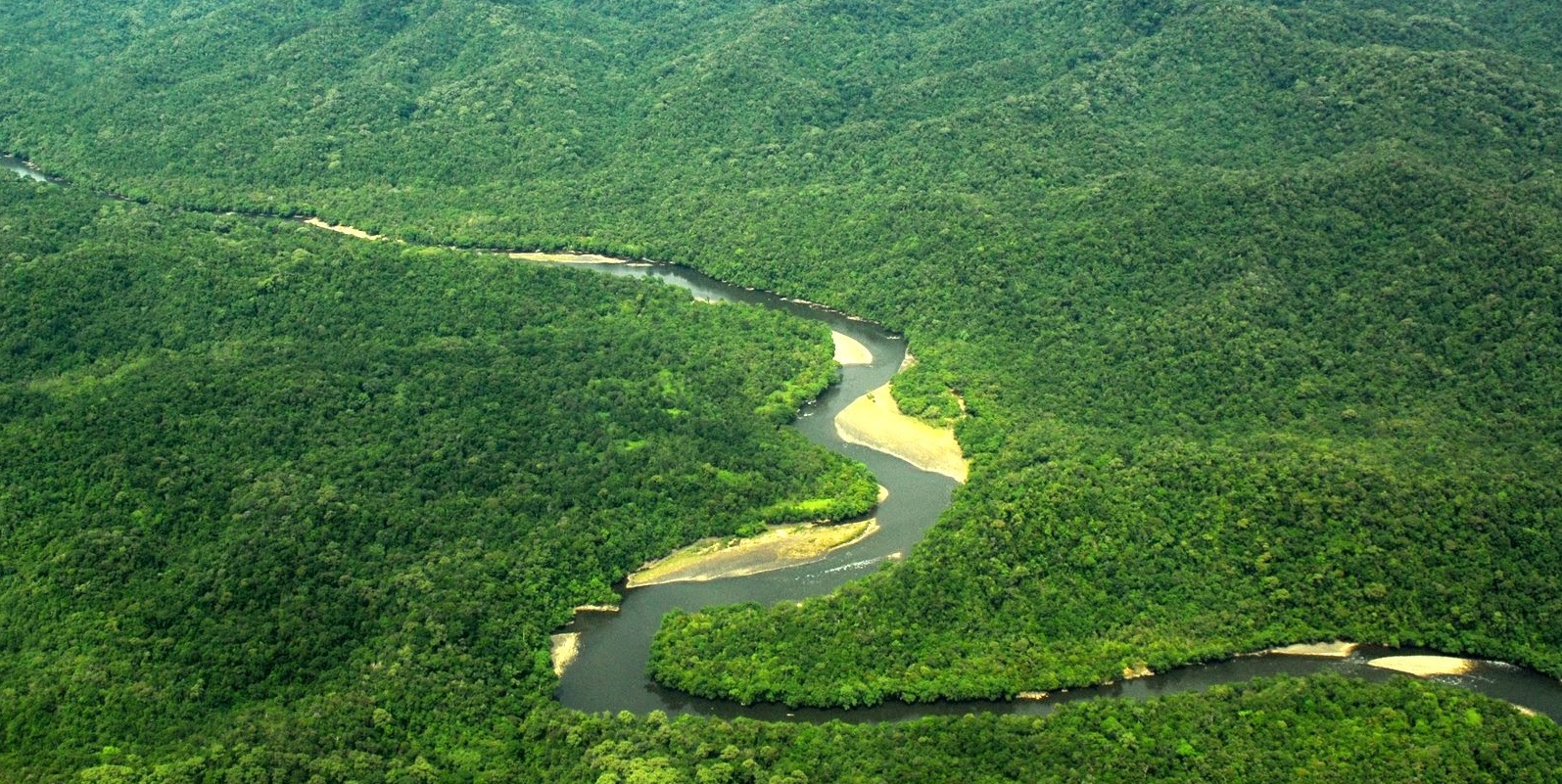 https://mdw-travel-data-us-east-1.s3.amazonaws.com/img/country/Indonesia/Kayan-Mentarang-National-Park/img_02.jpg