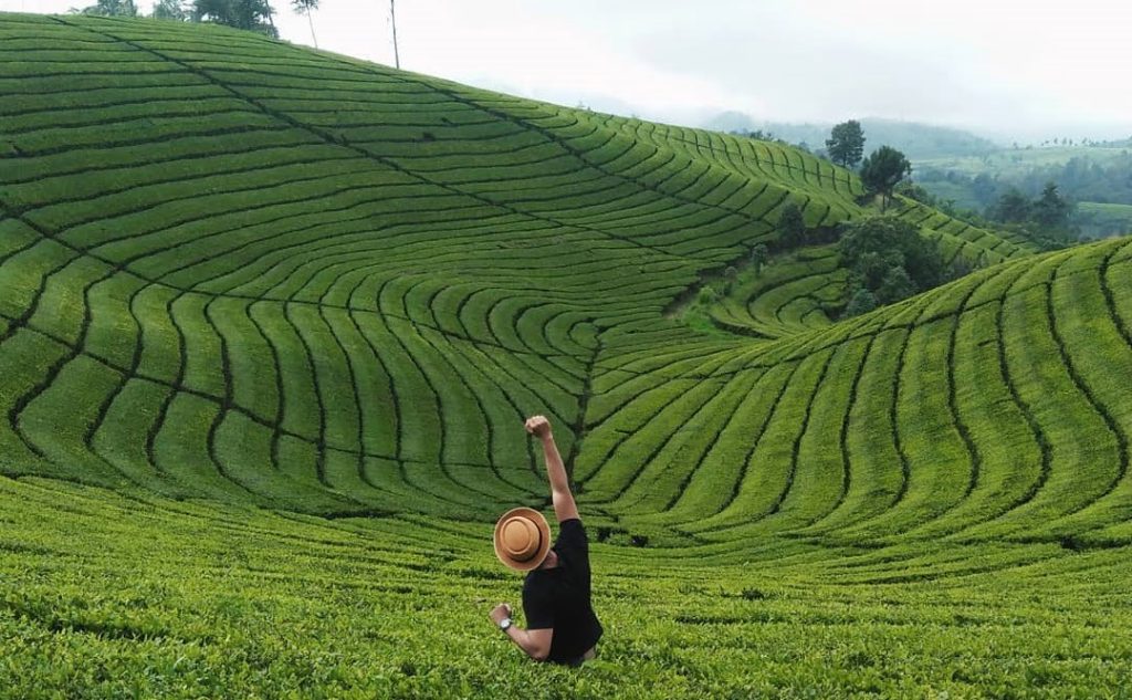 https://mdw-travel-data-us-east-1.s3.amazonaws.com/img/country/Indonesia/Kebun-Teh-Sukawana/img_01.jpg