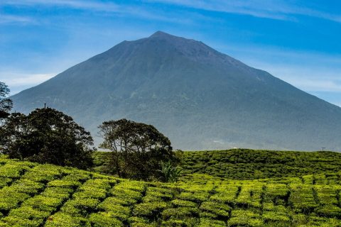https://mdw-travel-data-us-east-1.s3.amazonaws.com/img/country/Indonesia/Kerinci-Seblat-National-Park/img_01.jpg