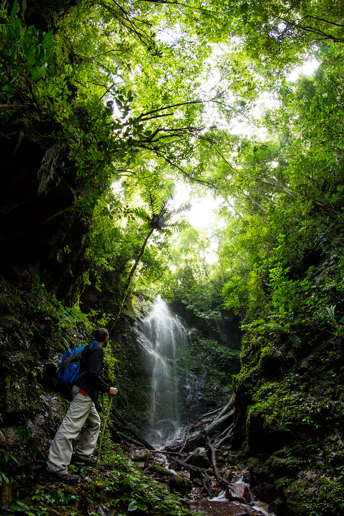 https://mdw-travel-data-us-east-1.s3.amazonaws.com/img/country/Indonesia/Kerinci-Seblat-National-Park/img_03.jpg