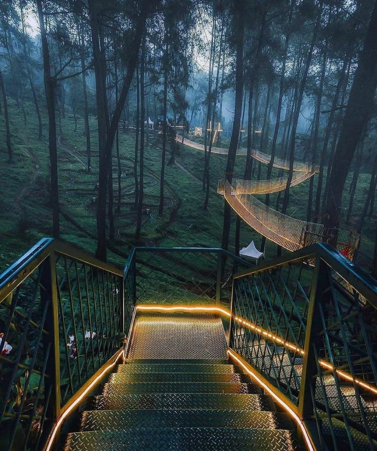 https://mdw-travel-data-us-east-1.s3.amazonaws.com/img/country/Indonesia/Kersik-Luway-Orchid-Forest/img_03.jpg