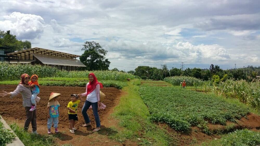 https://mdw-travel-data-us-east-1.s3.amazonaws.com/img/country/Indonesia/Kuntum-Farmfield/img_01.jpg