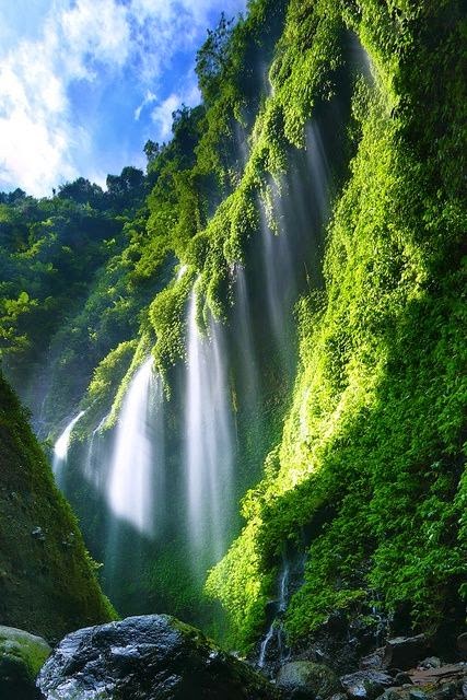 https://mdw-travel-data-us-east-1.s3.amazonaws.com/img/country/Indonesia/Madakaripura-Waterfall/img_02.jpg