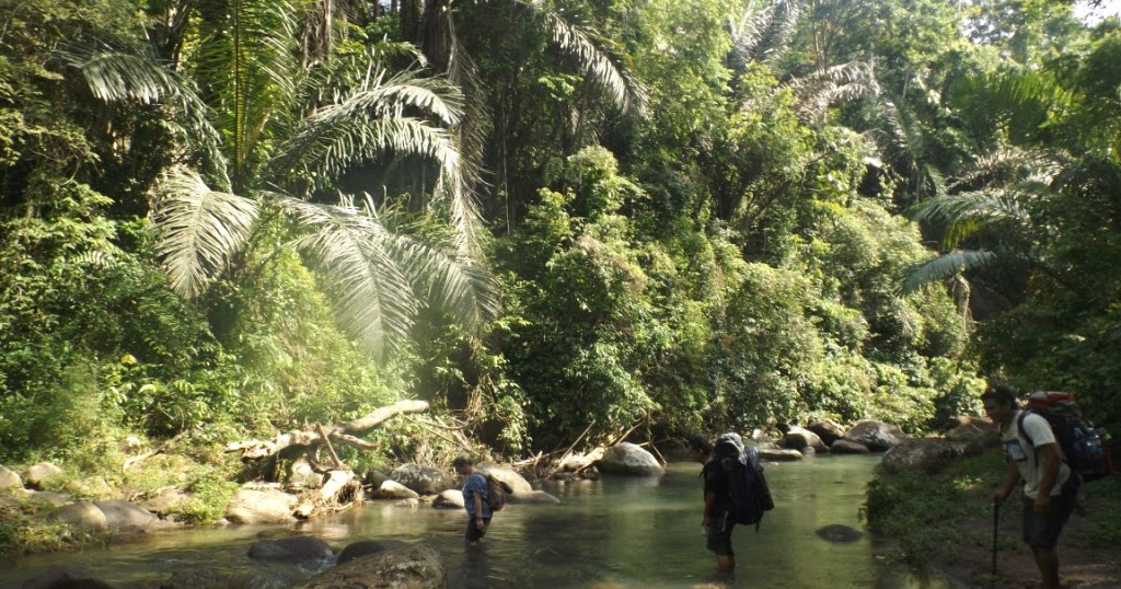https://mdw-travel-data-us-east-1.s3.amazonaws.com/img/country/Indonesia/Manembo-nembo-Nature-Reserve/img_03.jpg