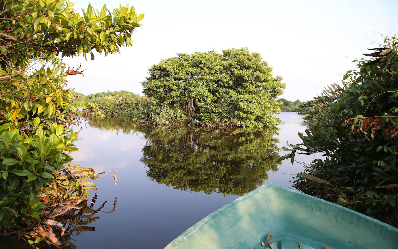 https://mdw-travel-data-us-east-1.s3.amazonaws.com/img/country/Indonesia/Mangrove-Ecotourism-Center/img_03.jpg
