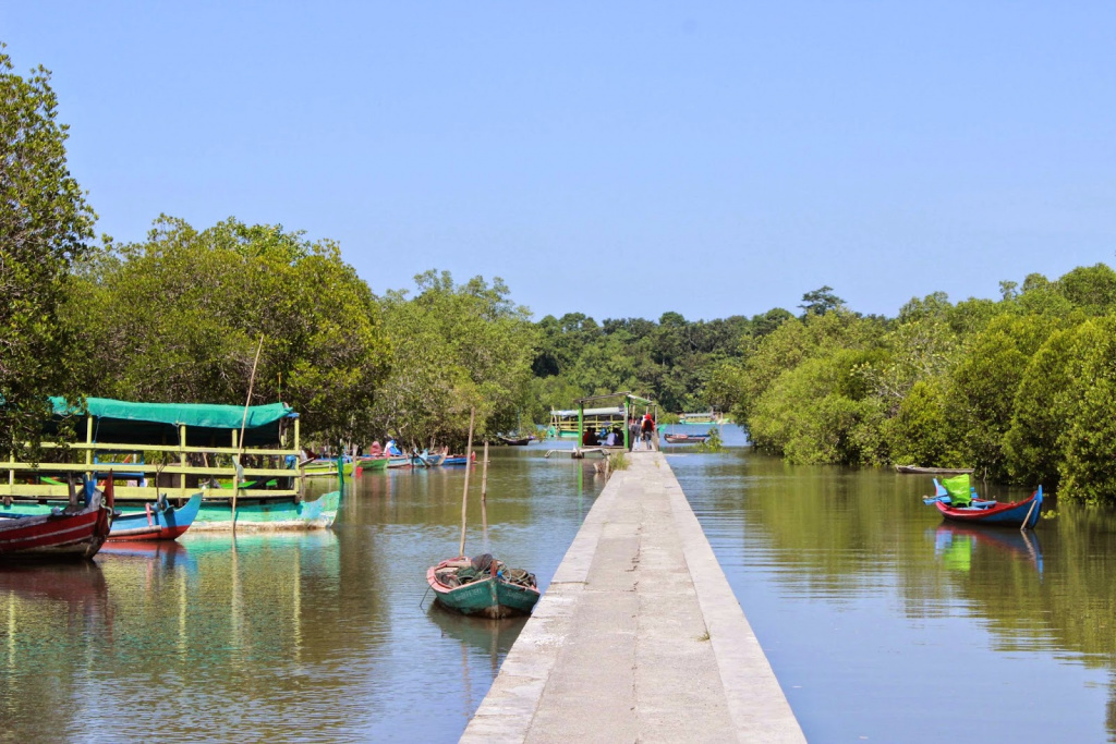 https://mdw-travel-data-us-east-1.s3.amazonaws.com/img/country/Indonesia/Mangrove-Paku-Hulu/img_03.jpg