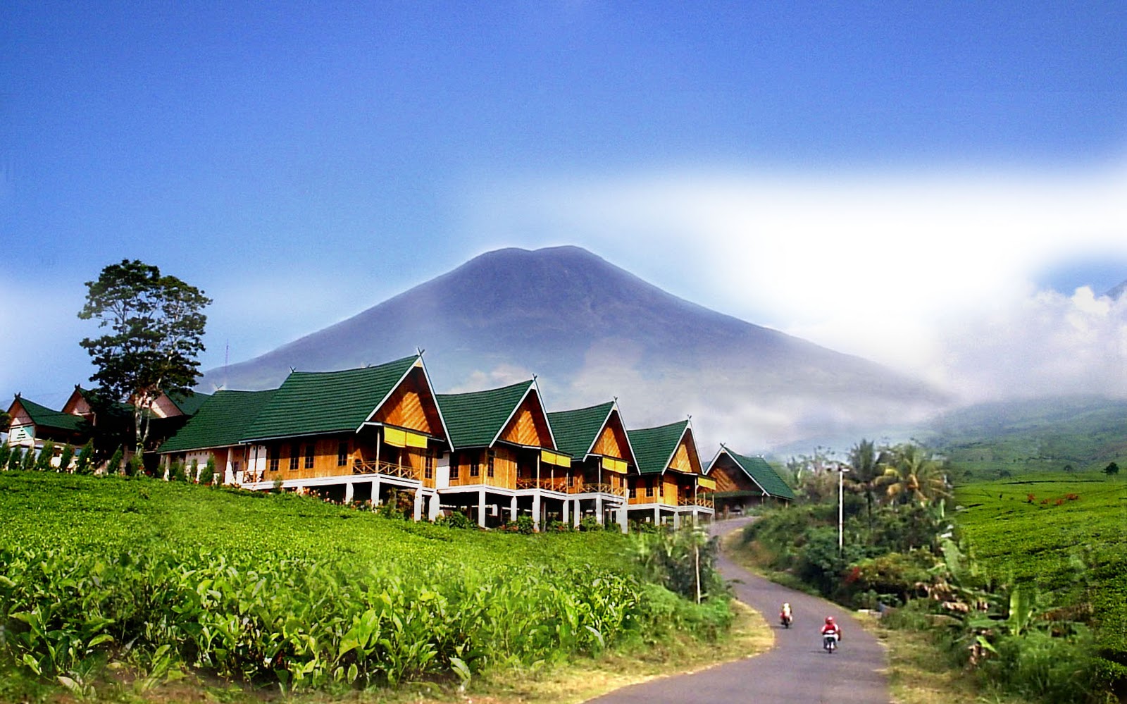 https://mdw-travel-data-us-east-1.s3.amazonaws.com/img/country/Indonesia/Mount-Dempo/img_03.jpg