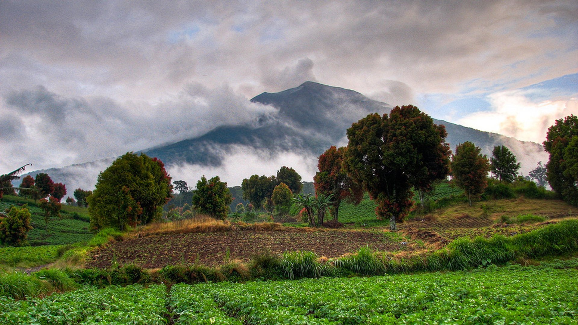 https://mdw-travel-data-us-east-1.s3.amazonaws.com/img/country/Indonesia/Mount-Kerinci/img_02.jpg