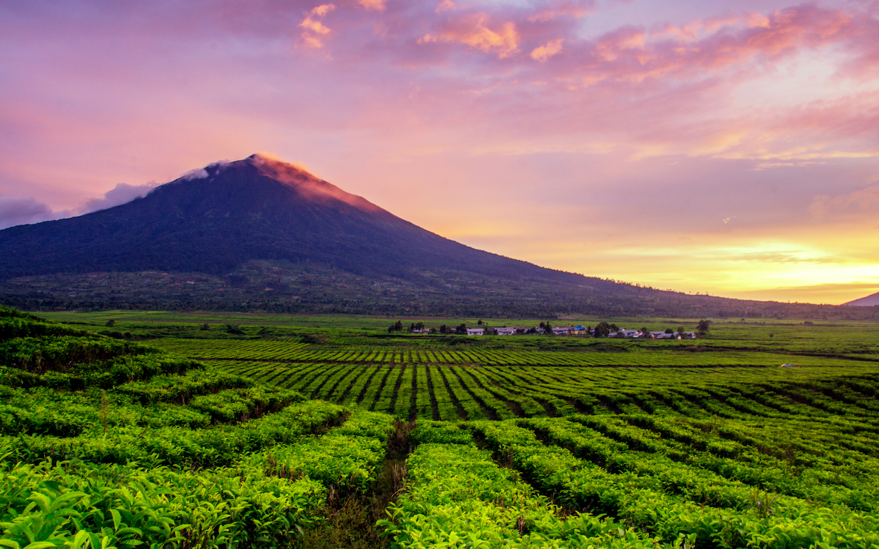 https://mdw-travel-data-us-east-1.s3.amazonaws.com/img/country/Indonesia/Mount-Kerinci/img_03.jpg