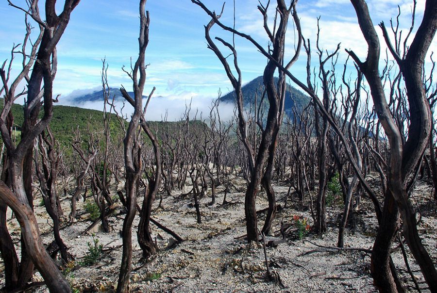 https://mdw-travel-data-us-east-1.s3.amazonaws.com/img/country/Indonesia/Mount-Papandayan/img_03.jpg
