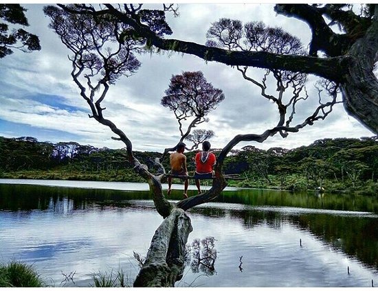 https://mdw-travel-data-us-east-1.s3.amazonaws.com/img/country/Indonesia/Mount-Singgalang/img_02.jpg