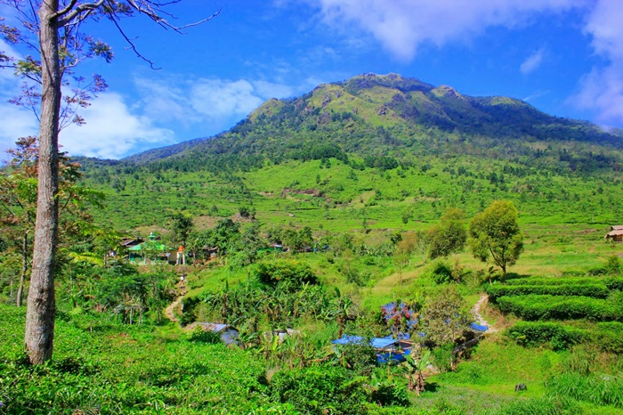 https://mdw-travel-data-us-east-1.s3.amazonaws.com/img/country/Indonesia/Mount-Ungaran/img_03.jpg
