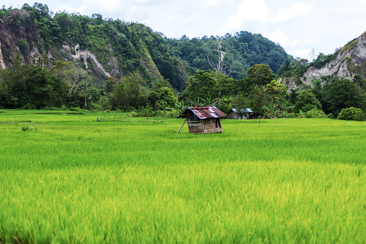 https://mdw-travel-data-us-east-1.s3.amazonaws.com/img/country/Indonesia/Ngarai-Sianok/img_03.jpg