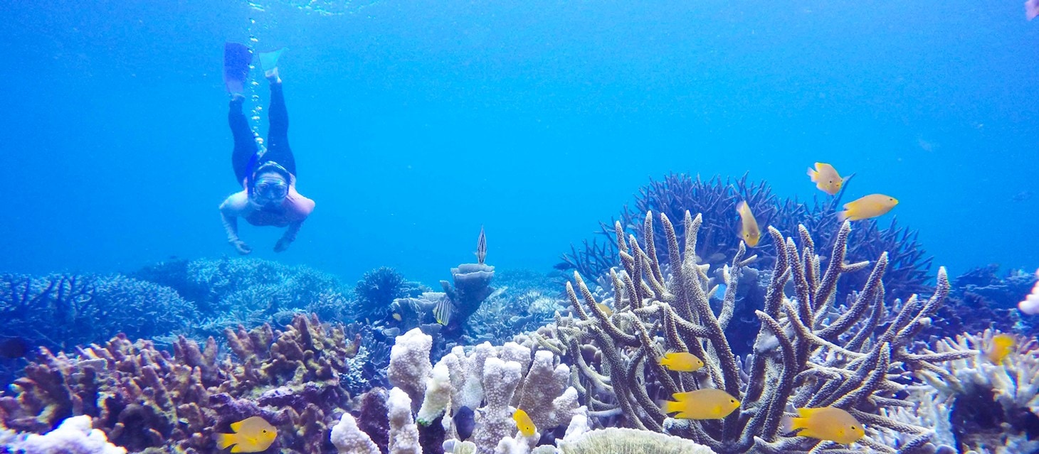 https://mdw-travel-data-us-east-1.s3.amazonaws.com/img/country/Indonesia/Pahawang-Island/img_03.jpg