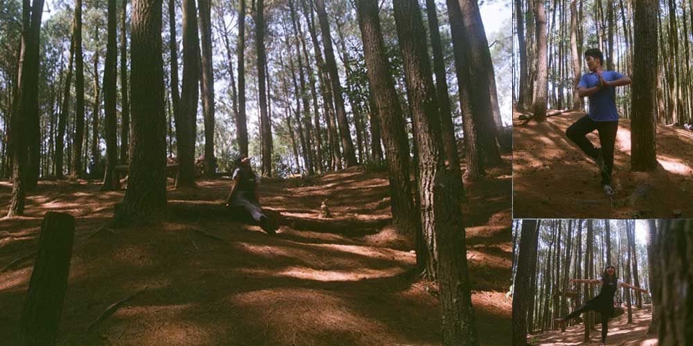 https://mdw-travel-data-us-east-1.s3.amazonaws.com/img/country/Indonesia/Pine-Forest-Mangunan/img_03.jpg