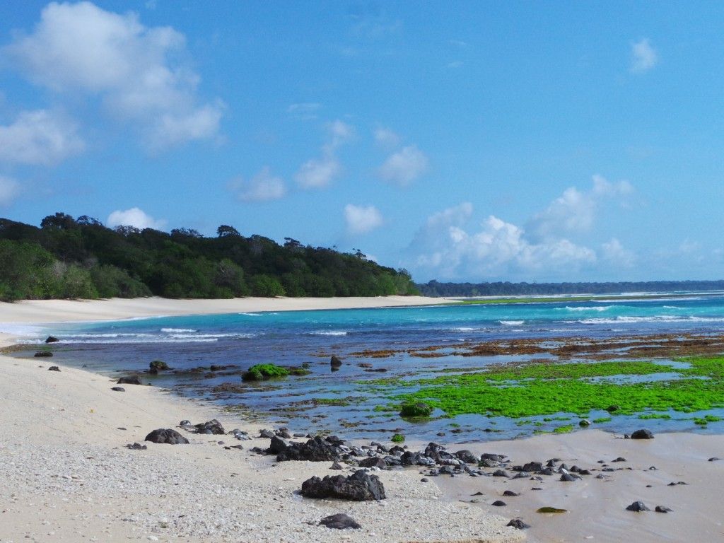 https://mdw-travel-data-us-east-1.s3.amazonaws.com/img/country/Indonesia/Plengkung-Beach/img_02.jpg
