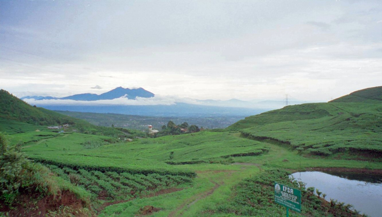 https://mdw-travel-data-us-east-1.s3.amazonaws.com/img/country/Indonesia/Puncak-Mas-Garden/img_01.jpg