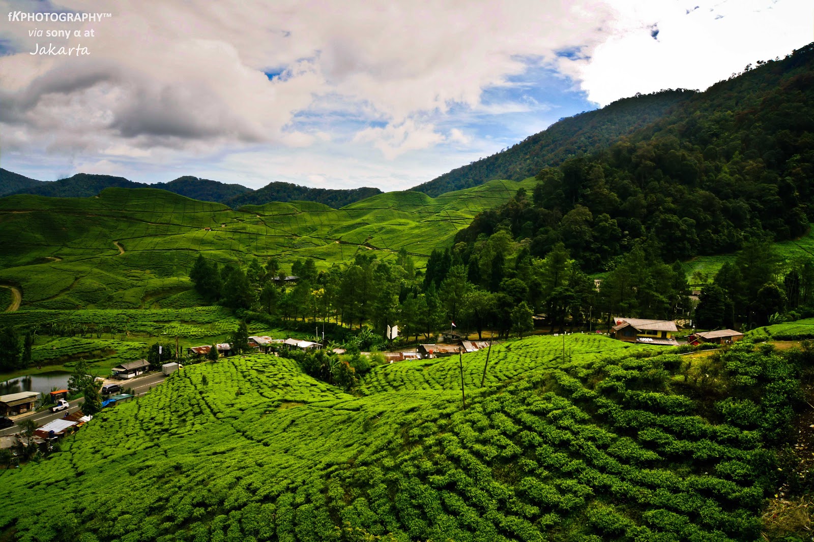 https://mdw-travel-data-us-east-1.s3.amazonaws.com/img/country/Indonesia/Puncak-Mas-Garden/img_02.jpg