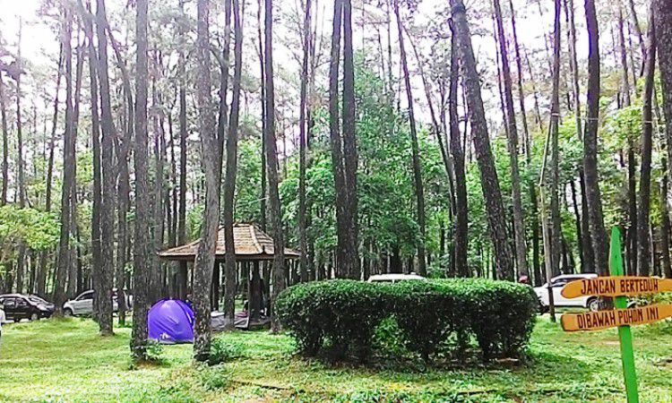 https://mdw-travel-data-us-east-1.s3.amazonaws.com/img/country/Indonesia/Punti-Kayu-Park/img_02.jpg