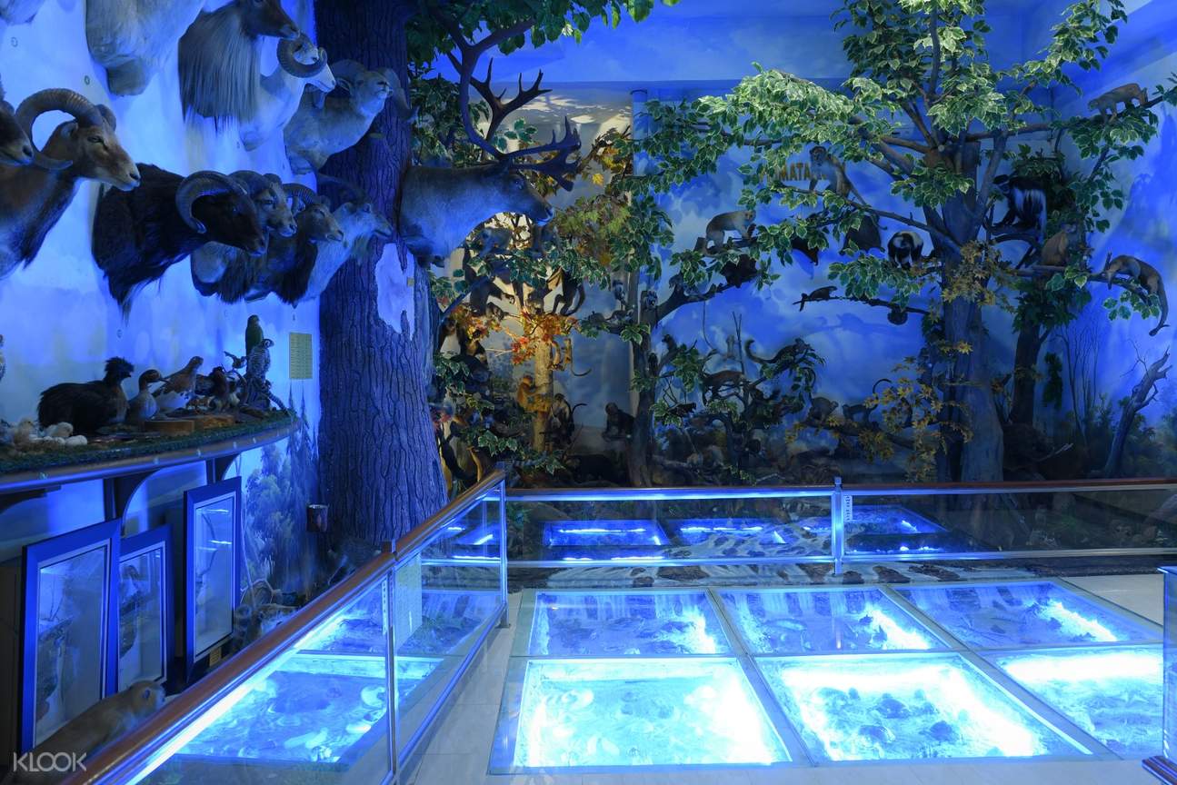 https://mdw-travel-data-us-east-1.s3.amazonaws.com/img/country/Indonesia/Rahmat-International-Wildlife-Museum/img_01.jpg