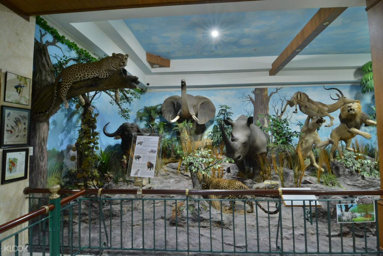 https://mdw-travel-data-us-east-1.s3.amazonaws.com/img/country/Indonesia/Rahmat-International-Wildlife-Museum/img_03.jpg