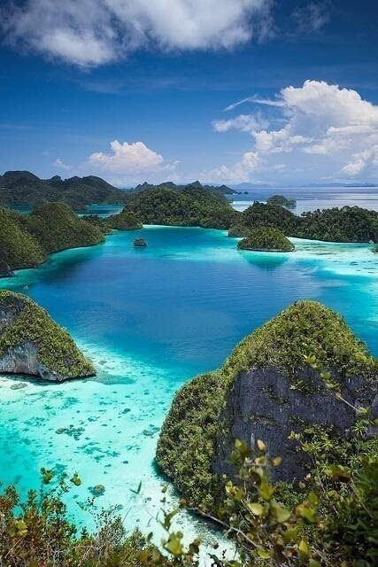 https://mdw-travel-data-us-east-1.s3.amazonaws.com/img/country/Indonesia/Raja-Island/img_01.jpg