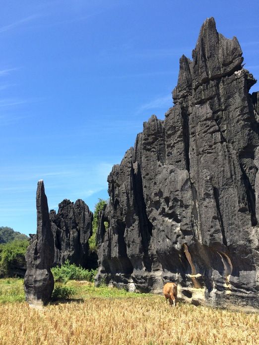 https://mdw-travel-data-us-east-1.s3.amazonaws.com/img/country/Indonesia/Rammang-Rammang-Karst/img_02.jpg