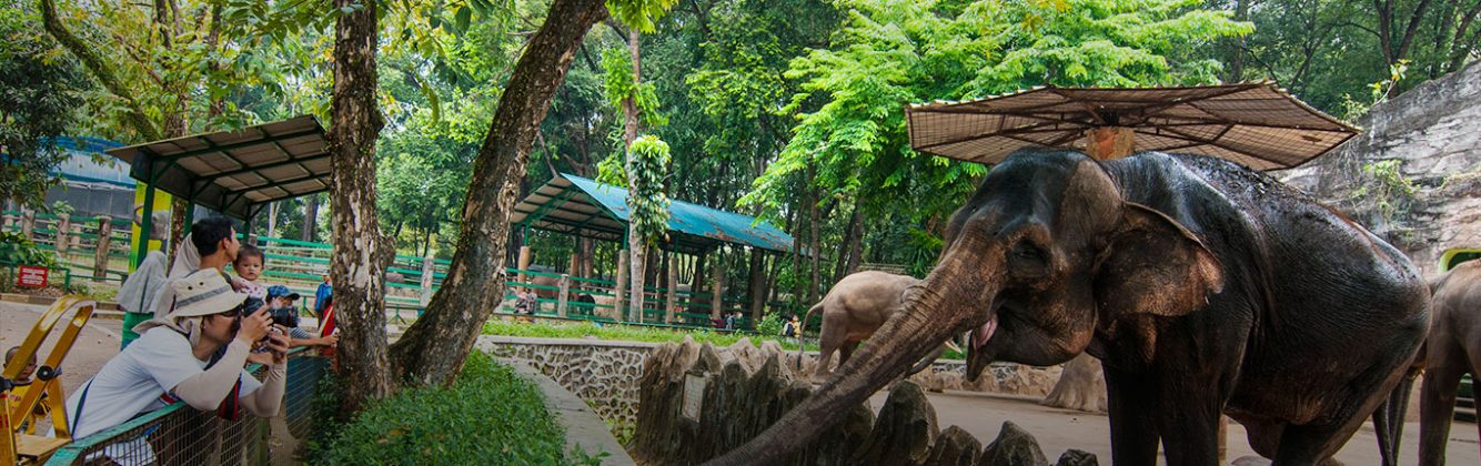 https://mdw-travel-data-us-east-1.s3.amazonaws.com/img/country/Indonesia/Rumbai-Zoo/img_01.jpg