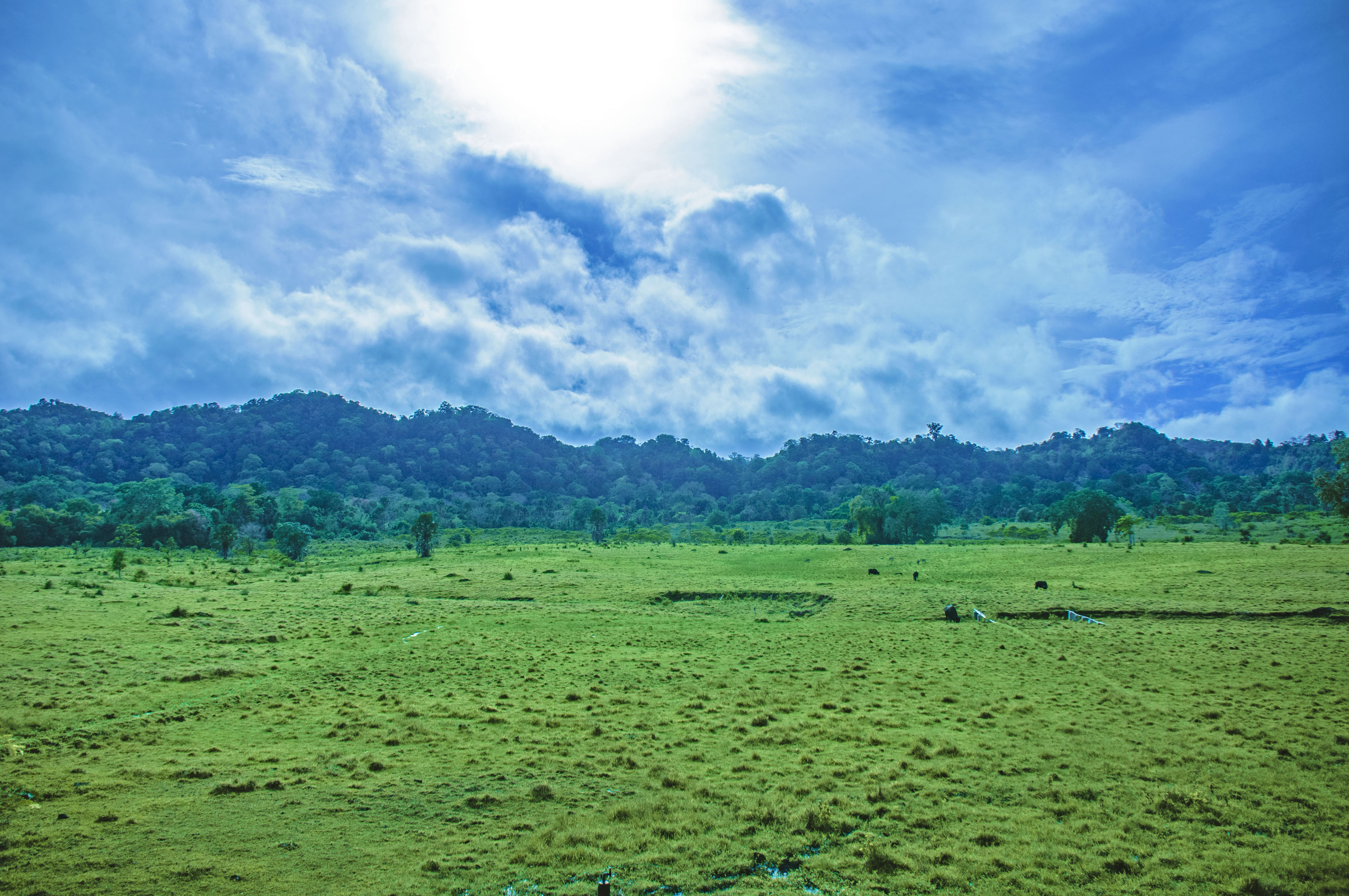 https://mdw-travel-data-us-east-1.s3.amazonaws.com/img/country/Indonesia/Sadengan-Savanna/img_02.jpg