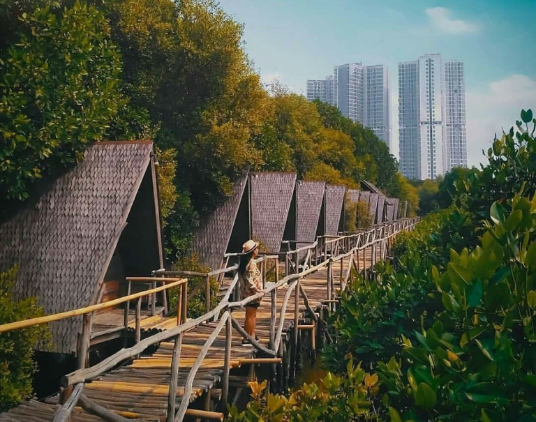https://mdw-travel-data-us-east-1.s3.amazonaws.com/img/country/Indonesia/Sangkulirang-Mangrove-Forest/img_03.jpg