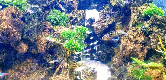 https://mdw-travel-data-us-east-1.s3.amazonaws.com/img/country/Indonesia/Sea-World/img_03.jpg