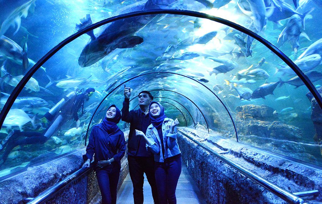 https://mdw-travel-data-us-east-1.s3.amazonaws.com/img/country/Indonesia/SeaWorld-Ancol/img_00.jpg