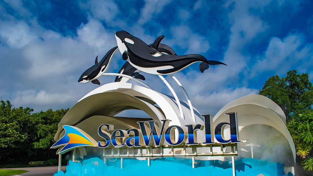 https://mdw-travel-data-us-east-1.s3.amazonaws.com/img/country/Indonesia/SeaWorld-Ancol/img_01.jpg