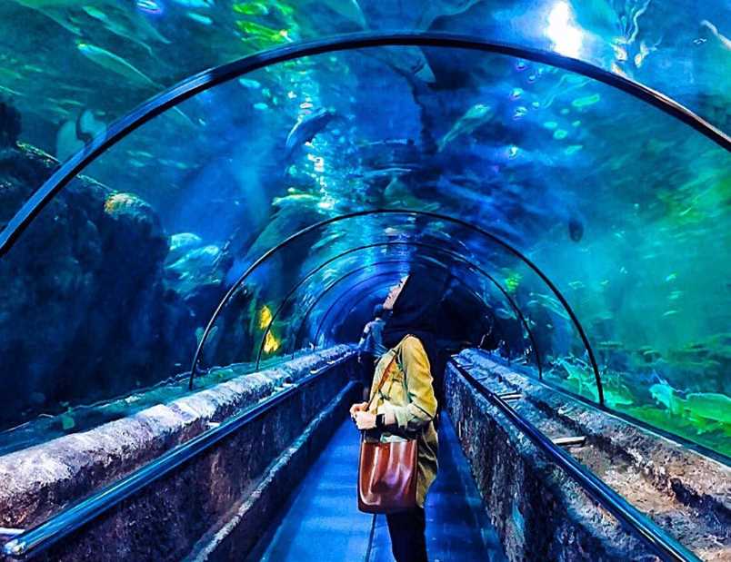 https://mdw-travel-data-us-east-1.s3.amazonaws.com/img/country/Indonesia/SeaWorld-Ancol/img_03.jpg