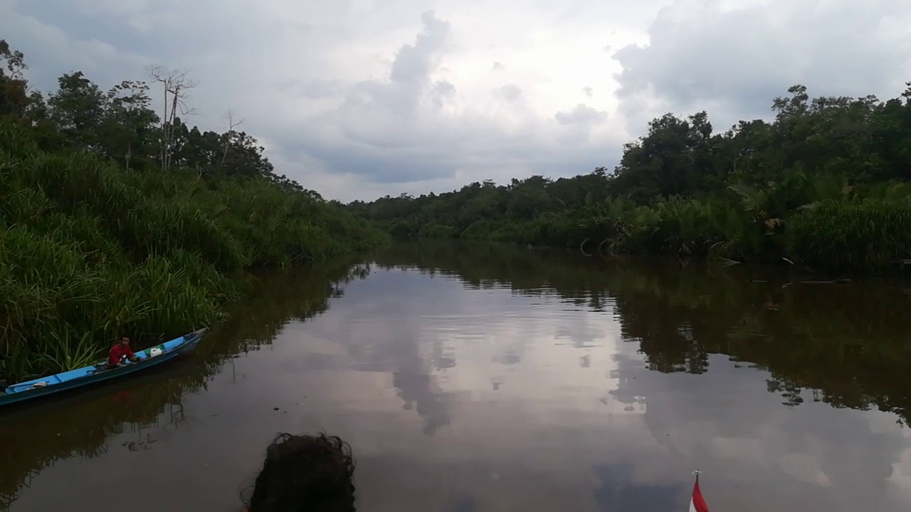 https://mdw-travel-data-us-east-1.s3.amazonaws.com/img/country/Indonesia/Sekonyer-River/img_02.jpg