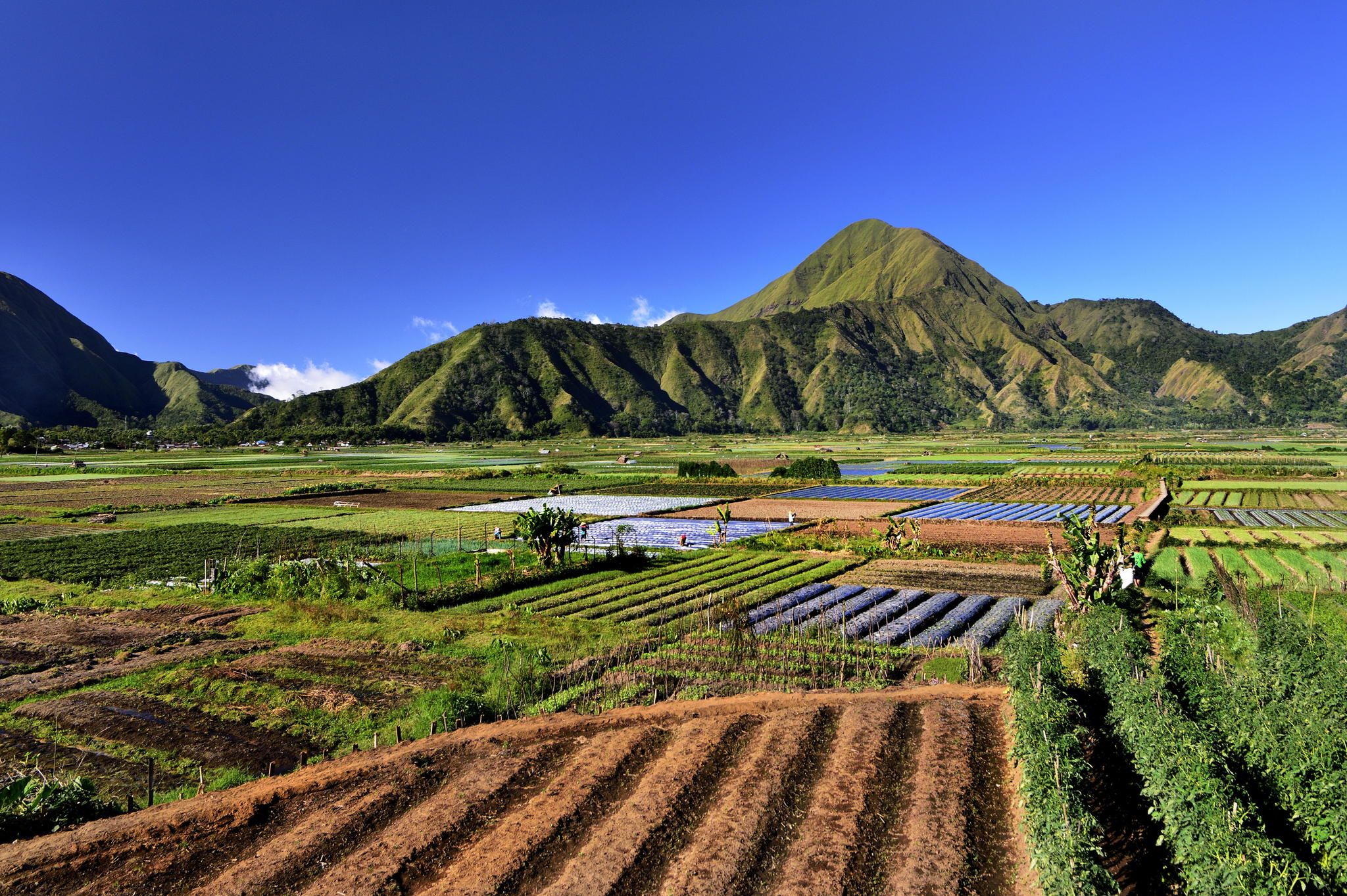 https://mdw-travel-data-us-east-1.s3.amazonaws.com/img/country/Indonesia/Sembalun-Village/img_00.jpg
